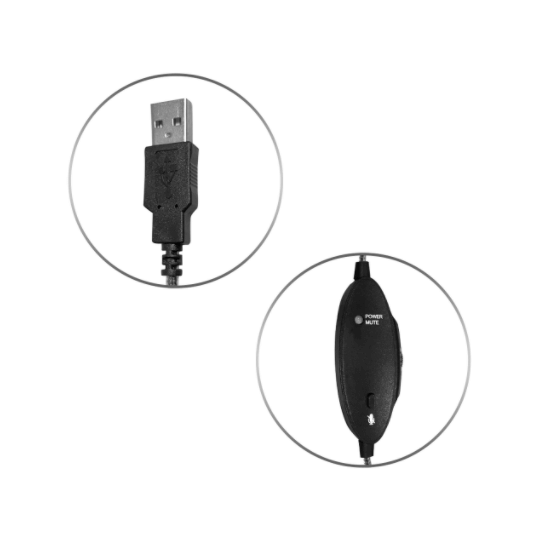 USB connection and inline volume control of WorkSmart™ Multimedia USB Headset for superior sound quality and convenience.