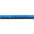 Victor EZ12PBL easy read plastic ruler 12 inch lightweight ruler with clear markings for accurate measuring