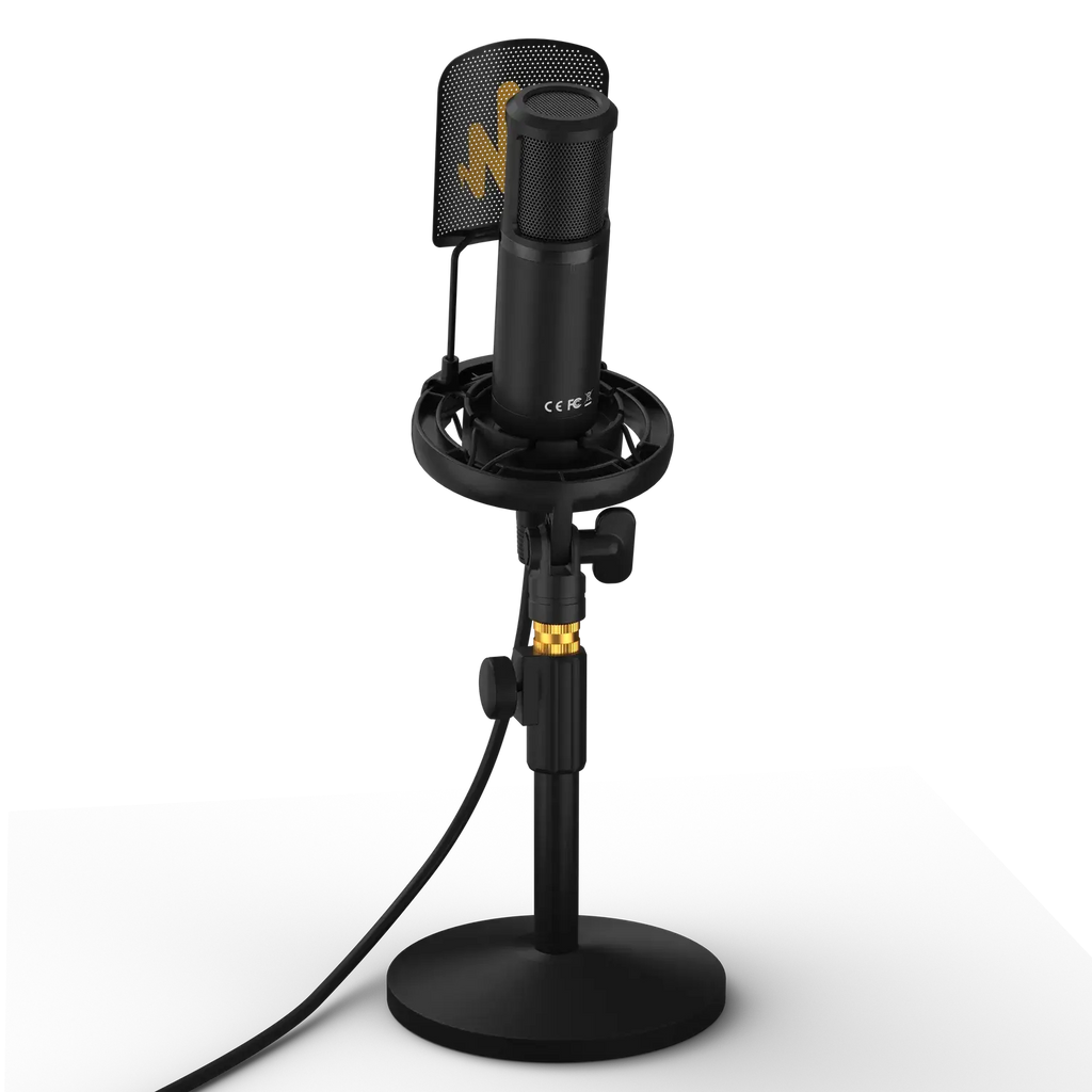 HamiltonBuhl Media Production Studio: Deluxe Interview Kit #2
