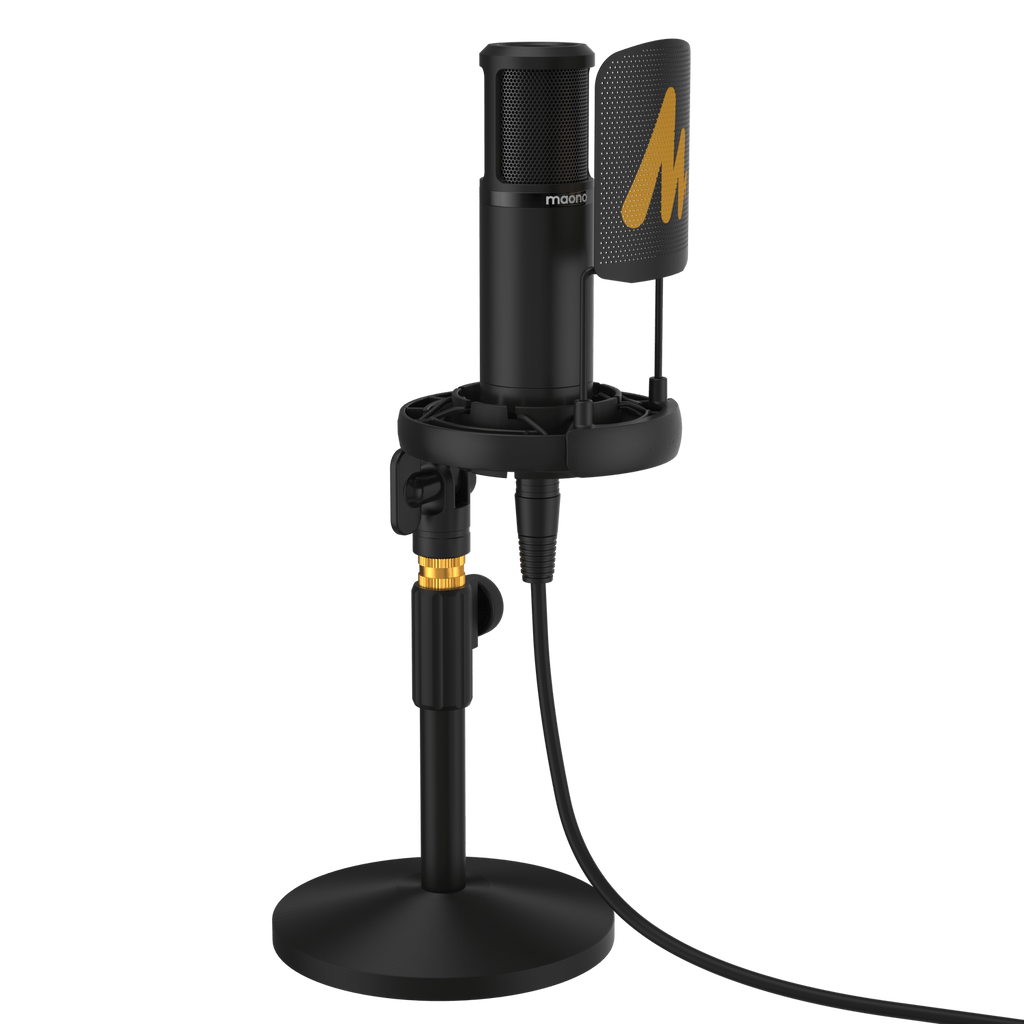 HamiltonBuhl Media Production Studio: Ultra Interview Kit #3