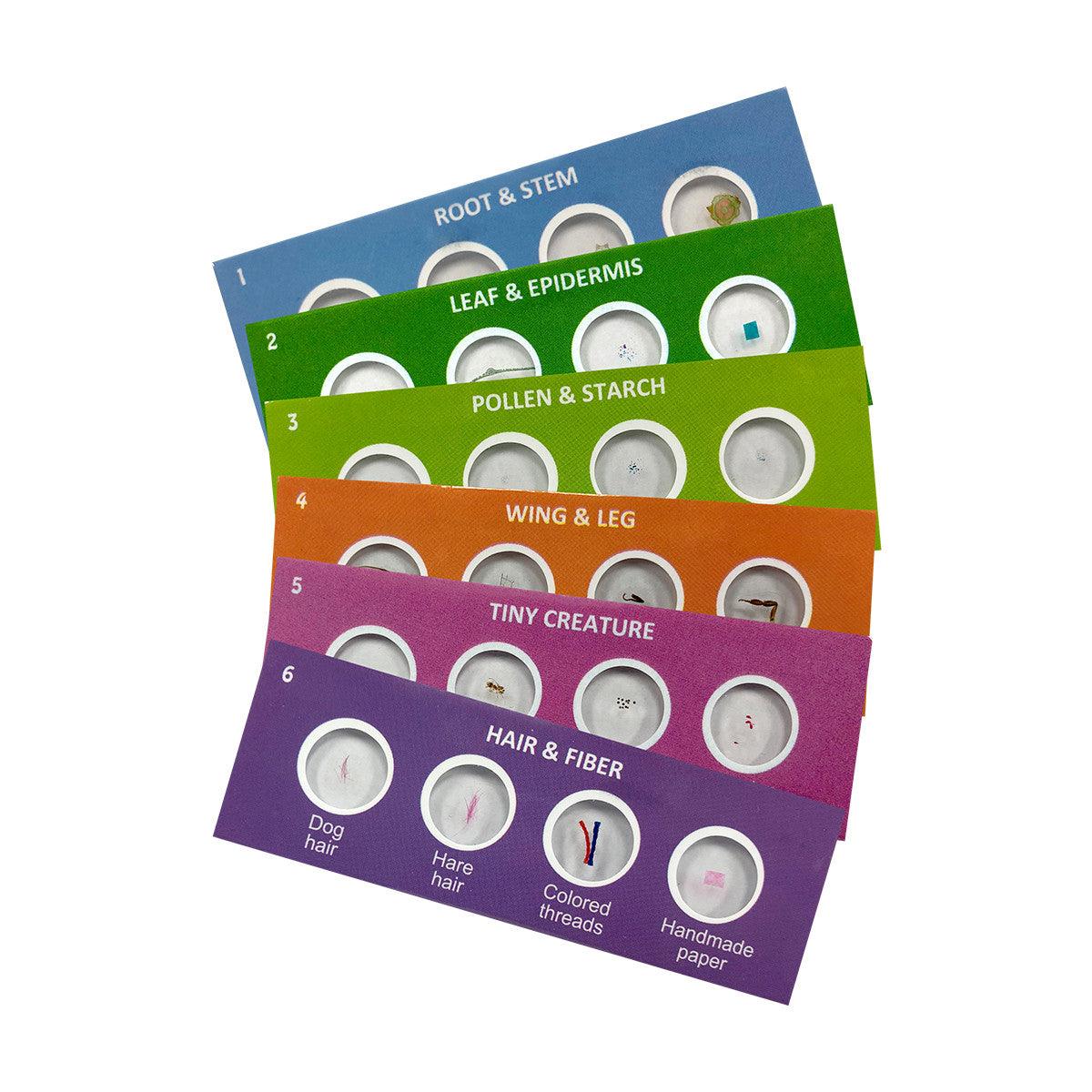 HAMI STEAM2DX Beginner Level Deluxe STEAM Kit