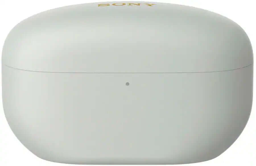 WF-1000XM True Wireless Earbuds