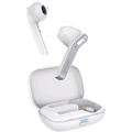 Mini True Wireless Earbuds